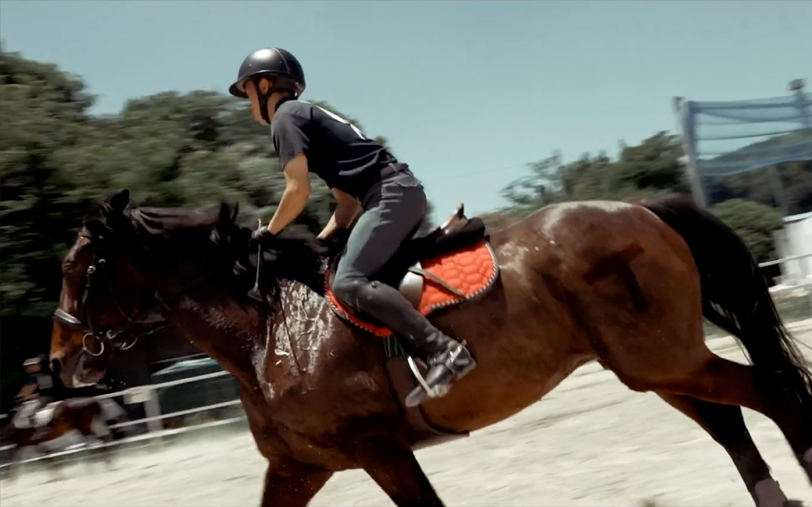 部活動紹介動画 - 馬術部